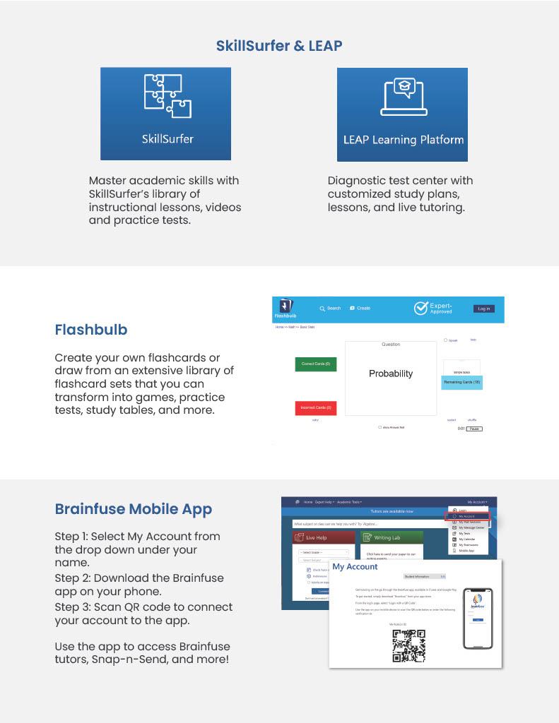 brainfuse instructions page 2