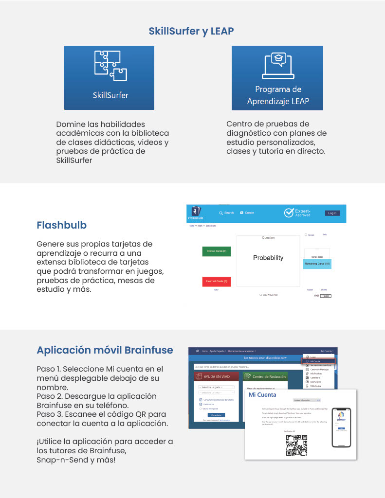 brainfuse instructions page 4